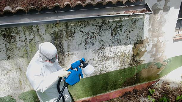 Trusted Mold Removal service in Cherry Hill, VA - Cheap Mold Removal